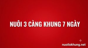 nuôi 3 càng khung 7 ngày miễn phí