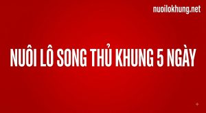 nuôi lô song thủ khung 5 ngày chuẩn xác